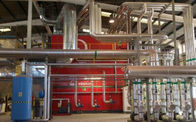 Biomasa y Geotermia, un gran potencial desaprovechado